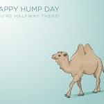 Happy Hump Day Camel - Illustrated ..
