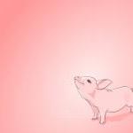 Pink Baby Pig - Digitally Illustrated - 8 X 10..
