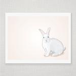 Spring Easter Bunny Rabbit On Peach - Illustrated..