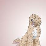 Labradoodle Dog Portrait - Pink Illustrated Print..