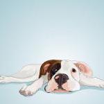 Boxer Puppy - Dog Portrait - Blue Illustrated..
