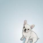 White French Bulldog Puppy - Blue Illustrated..