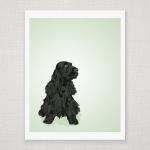 Black English Cocker Spaniel Dog Portrait - Mint..