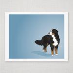 Bernese Mountain Dog Portrait - Blue Illustrated..