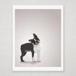 Boston Terrier Dog Portrait - Illustrated Print -..