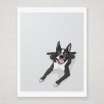 Boston Terrier - Grey Illustrated Print - 8 X 10..