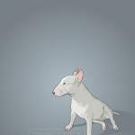Zoey The Bull Terrier - Illustration - 8 X 10..