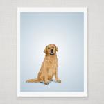 Golden Retriever Dog Portrait - Blue Illustrated..