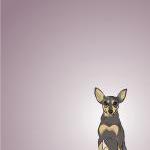 Chili The Mini Pinscher - Dog Illustration - 5 X 7..