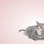 Juice Our Fat Feisty Feline - Illustrated Print -..