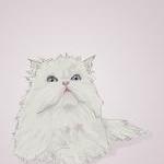 White Persian Cat On Pink - Illustrated Print - 8..