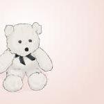 White Teddy Bear On Pink - Illustrated Print - 8 X..