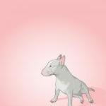 Bull Terrier Dog Portrait- Pink Illustrated Print..