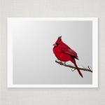 Snowy Red Cardinal - Illustrated Print - 8 X 10..