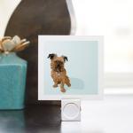 Mini Print - Digby Van Winkle Dog Portrait - 3 X 3..