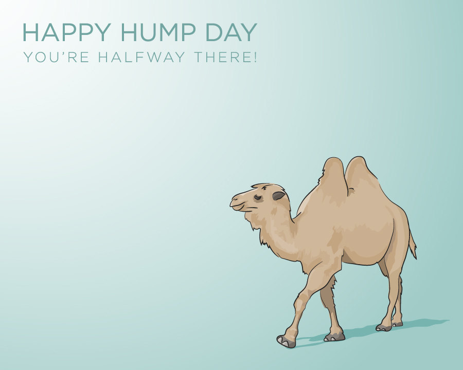 Happy Hump Day Camel Illustrated Print 8 X 10 Archival Matte Print