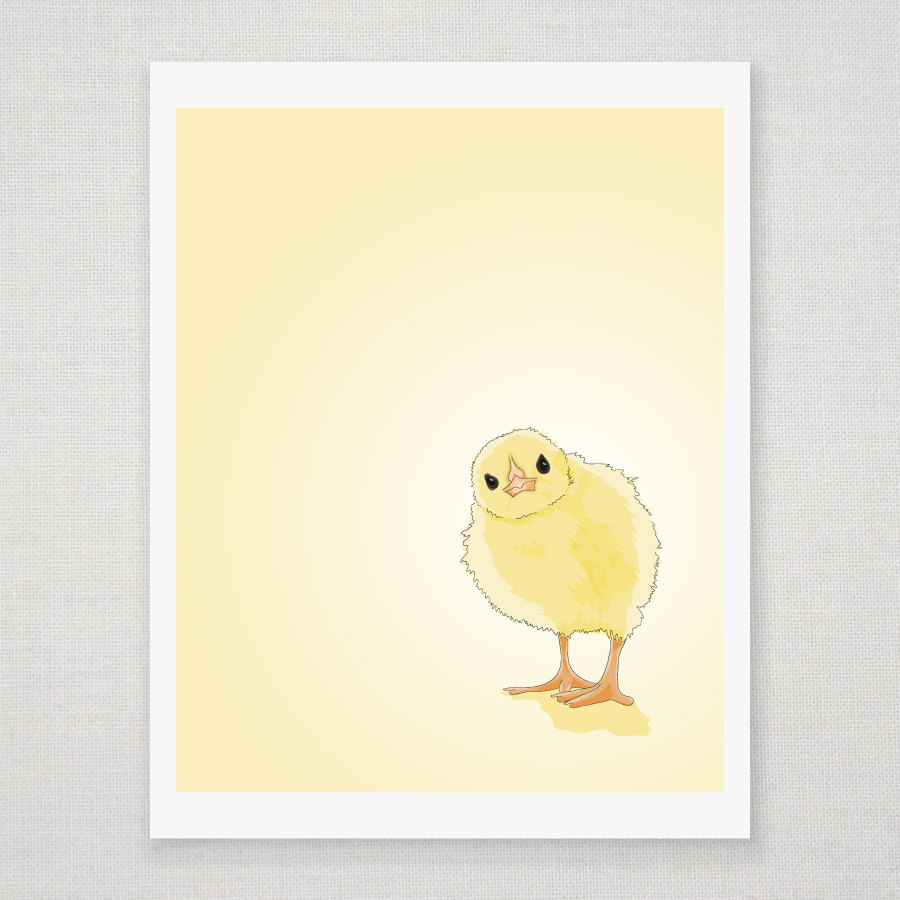 Spring Yellow Baby Chick - Illustrated Print - 8 X 10 Archival Matte