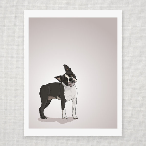 Boston Terrier Dog Portrait - Illustrated Print - 8 X 10 Archival Matte