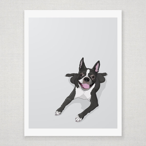 Boston Terrier - Grey Illustrated Print - 8 X 10 Archival Matte
