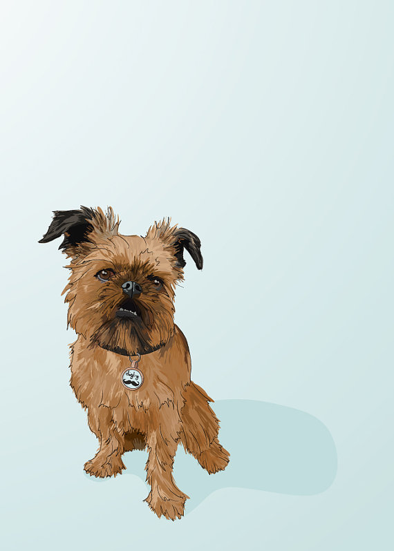 Digby Van Winkle Griffon Dog Portrait - Blue Illustrated Print - 5 X 7 Archival Matte