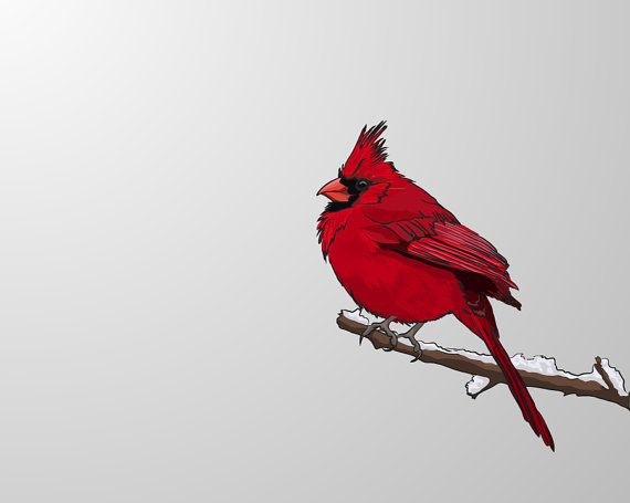 Snowy Red Cardinal - Illustrated Print - 8 X 10 Archival Matte