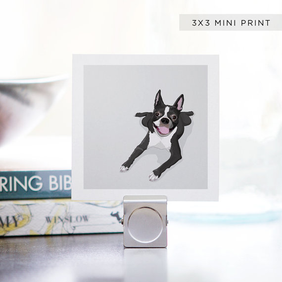 Mini Print Boston Terrier Dog Portrait - 3 X 3 Archival Matte - Digital Illustration