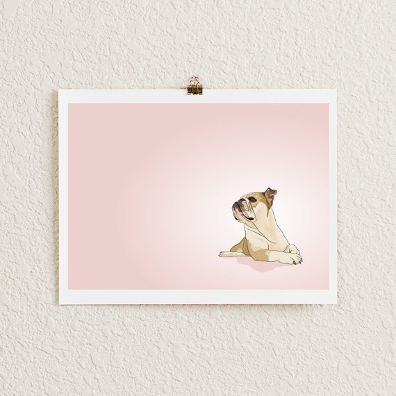 Fawn English Bull Dog - Pink Illustration - 8 X 10 Archival Matte Print